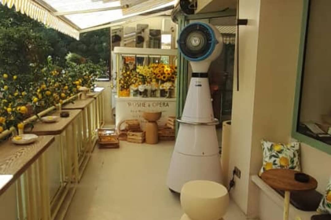 WhatsApp Image 2025-10-06 at 09.56.41